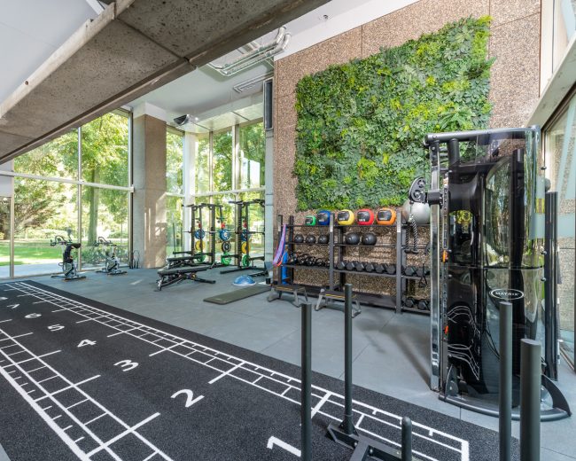 The blue zone gym overview